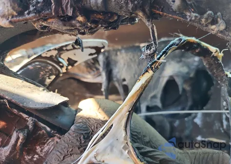 2020 Dodge Charger Scat Pack из США, поврежденный, VIN 2C3CDXGJ8LH254696